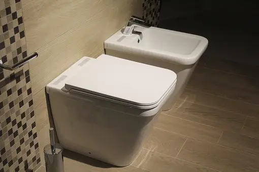 Bidet Repair